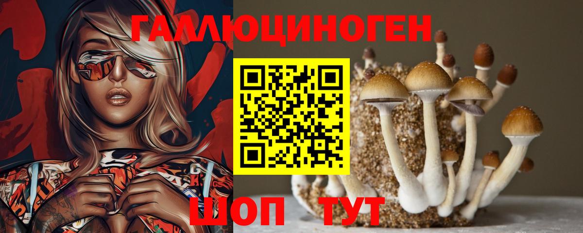 Фурманов  Псилоцибиновые грибы прущие грибы  Псилоцибиновые грибы ЛСД  Вход с VPN 
